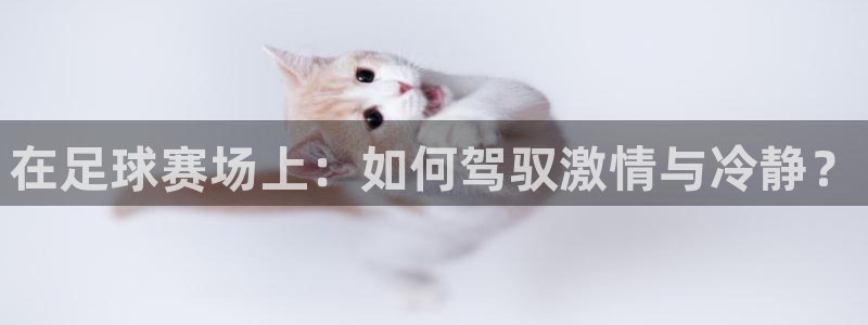 戴高乐入口：在足球赛场上：如何驾驭激情与冷静？