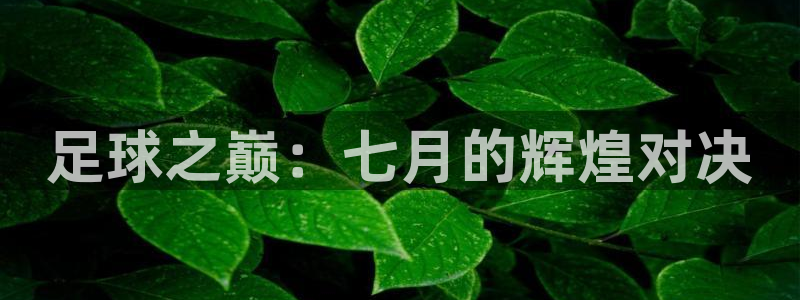 戴高乐图片：足球之巅：七月的辉煌对决