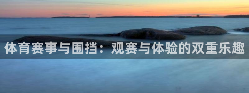 戴高乐机场地址：体育赛事与围挡：观赛与体验的双重乐趣