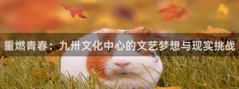 伊夫·戴高乐：重燃青春：九卅文化中心的文艺梦想与现实挑战
