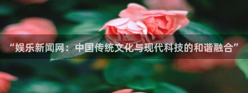 戴高乐有多高：“娱乐新闻网：中国传统文化与现代科技的和谐融合”