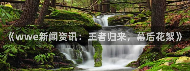 戴高乐是哪儿个国家的：《wwe新闻资讯：王者归来，幕后花絮》