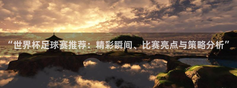 戴高乐机场官网：“世界杯足球赛推荐：精彩瞬间、比赛亮点与策略分析”