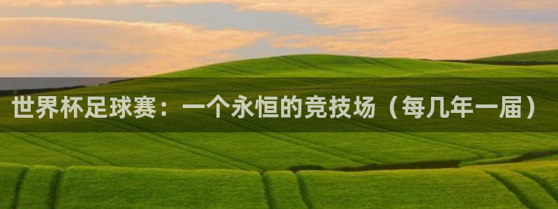 戴高乐是哪个国家的：世界杯足球赛：一个永恒的竞技场（每几年一届）
