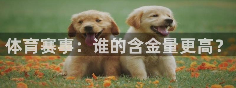 戴高乐有多高：体育赛事：谁的含金量更高？