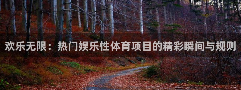 法国戴高乐：欢乐无限：热门娱乐性体育项目的精彩瞬间与规则