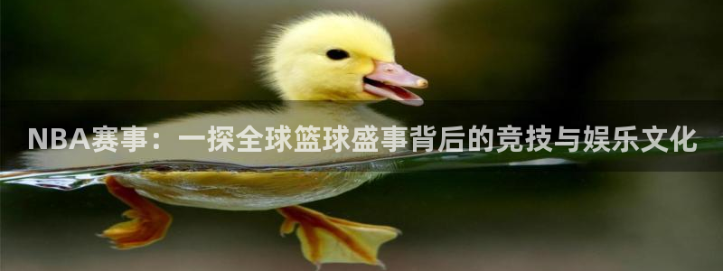 戴高乐官网：NBA赛事：一探全球篮球盛事背后的竞技与娱乐文化