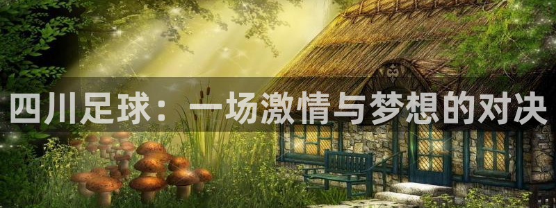 戴高乐是什么：四川足球：一场激情与梦想的对决