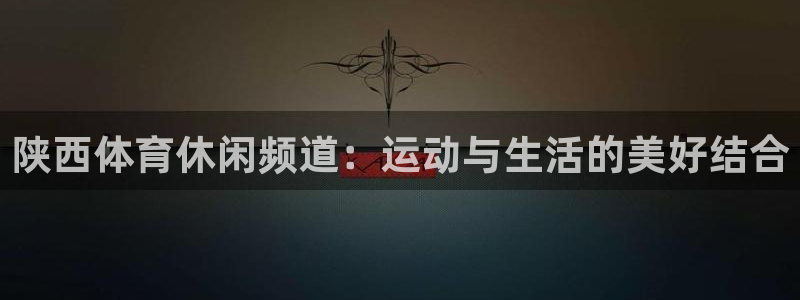 戴高乐高是哪个国家的：陕西体育休闲频道：运动与生活的美好结合