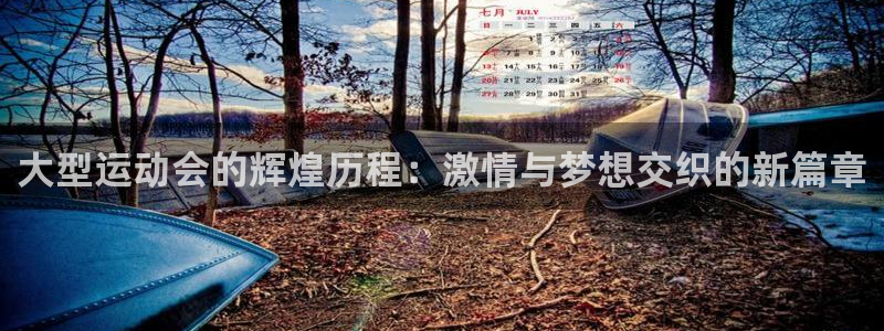 戴高乐：大型运动会的辉煌历程：激情与梦想交织的新篇章