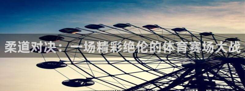 戴高乐全名：柔道对决：一场精彩绝伦的体育赛场大战