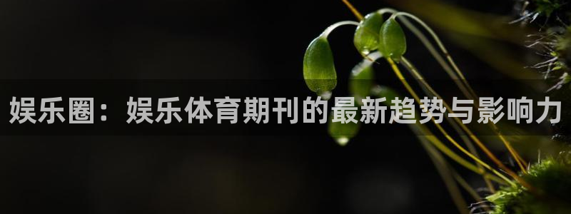 戴高乐是什么：娱乐圈：娱乐体育期刊的最新趋势与影响力