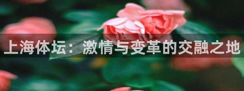戴高乐机场官网：上海体坛：激情与变革的交融之地