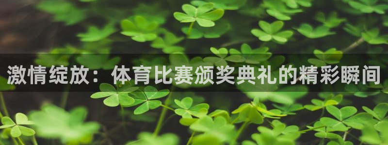 戴高乐号：激情绽放：体育比赛颁奖典礼的精彩瞬间