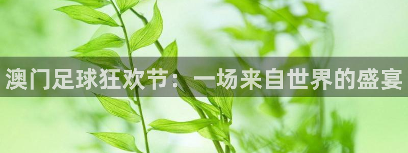 戴高乐全名：澳门足球狂欢节：一场来自世界的盛宴