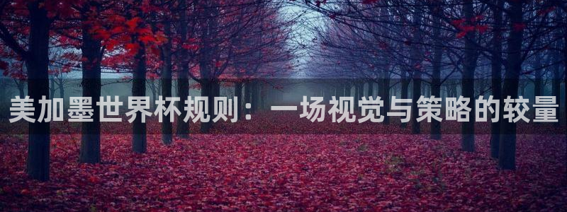 戴高乐h5：美加墨世界杯规则：一场视觉与策略的较量