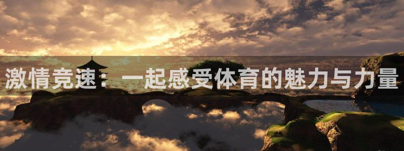 戴高乐机场地址：激情竞速：一起感受体育的魅力与力量