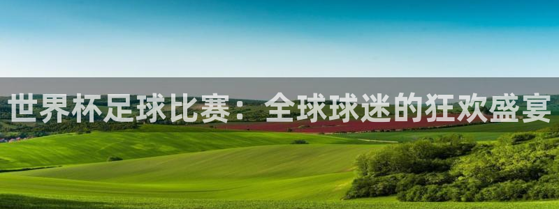 戴高乐自由法国：世界杯足球比赛：全球球迷的狂欢盛宴