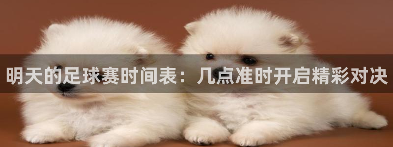 戴高乐地址：明天的足球赛时间表：几点准时开启精彩对决