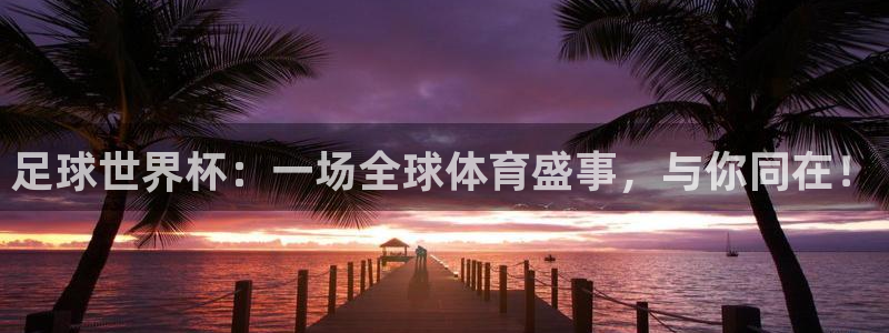 戴高乐机场地址：足球世界杯：一场全球体育盛事，与你同在！