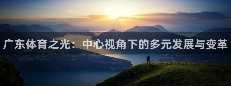 戴高乐入口：广东体育之光：中心视角下的多元发展与变革