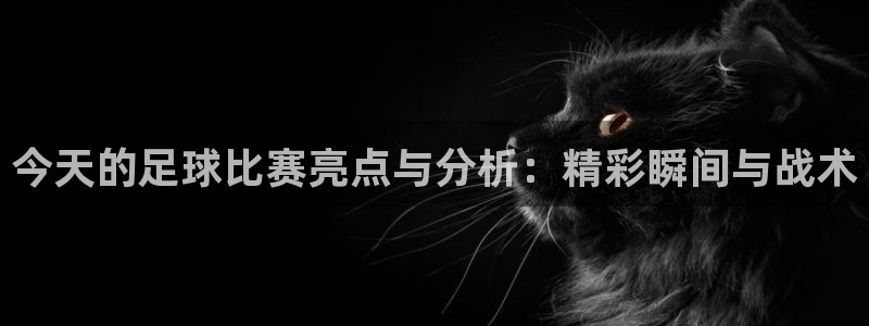法国戴高乐机场官网：今天的足球比赛亮点与分析：精彩瞬间与战术