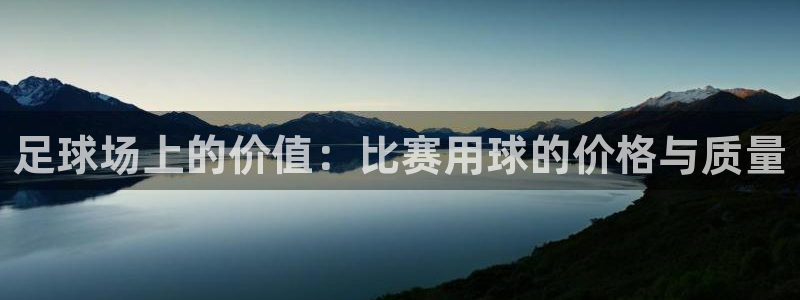 戴高乐平台：足球场上的价值：比赛用球的价格与质量