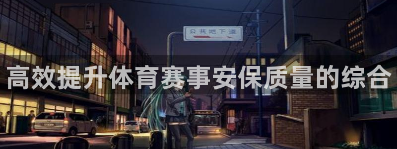 戴高乐地址：高效提升体育赛事安保质量的综合