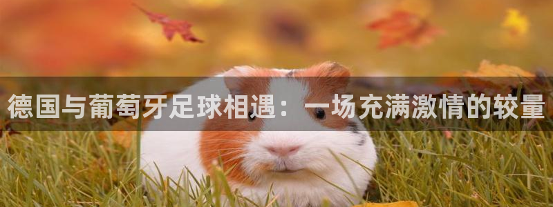戴高乐多高：德国与葡萄牙足球相遇：一场充满激情的较量