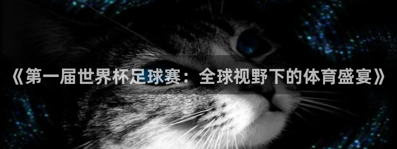 tno戴高乐：《第一届世界杯足球赛：全球视野下的体育盛宴》