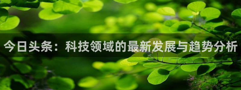 戴高乐是什么：今日头条：科技领域的最新发展与趋势分析