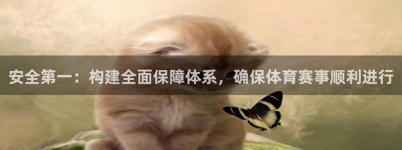 戴高乐app可以下载吗：安全第一：构建全面保障体系，确保体育赛事顺利进行