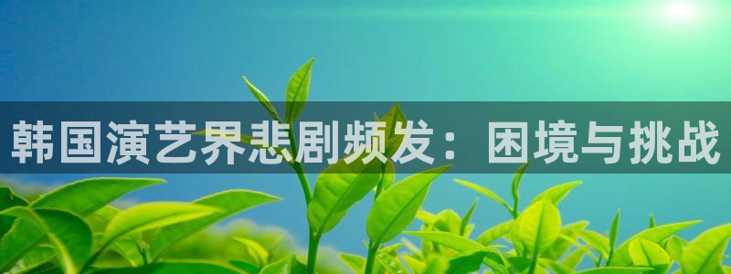 戴高乐全名：韩国演艺界悲剧频发：困境与挑战