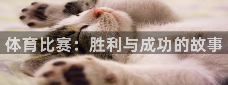 戴高乐来过中国没有：体育比赛：胜利与成功的故事