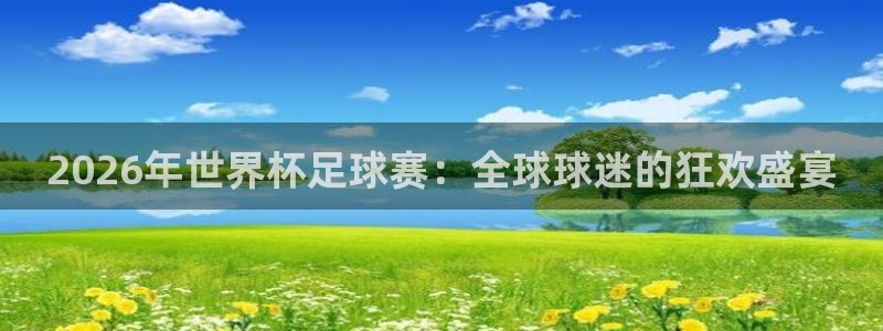 戴高乐有多高：2026年世界杯足球赛：全球球迷的狂欢盛宴