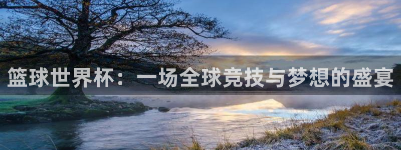 戴高乐全名：篮球世界杯：一场全球竞技与梦想的盛宴