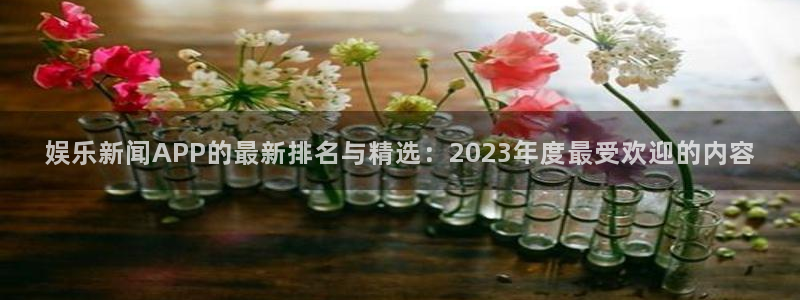 巴黎戴高乐t2e：娱乐新闻APP的最新排名与精选：2023年度最受欢迎的内容