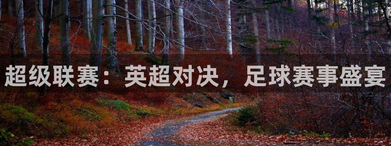 戴高乐登录：超级联赛：英超对决，足球赛事盛宴