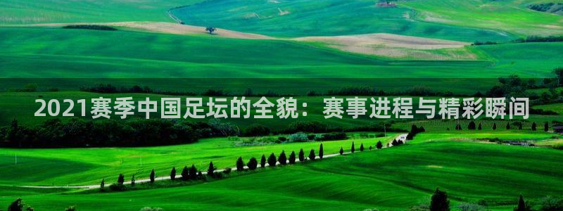 戴高乐官网：2021赛季中国足坛的全貌：赛事进程与精彩瞬间