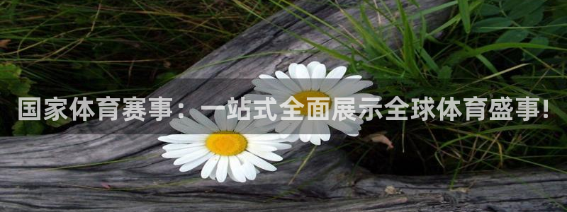 戴高乐入口：国家体育赛事：一站式全面展示全球体育盛事!